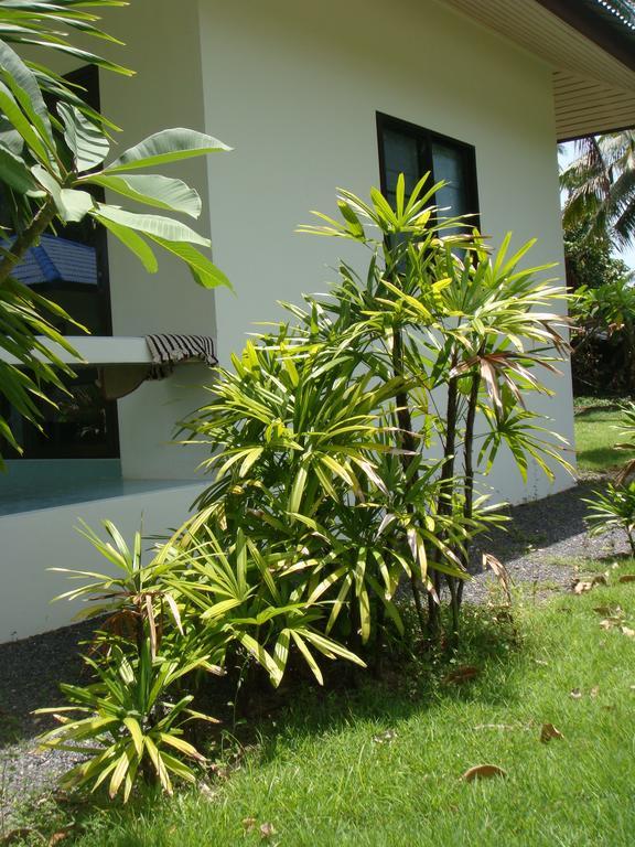Baan Kuasakul Resort Mae Nam Beach Exterior foto
